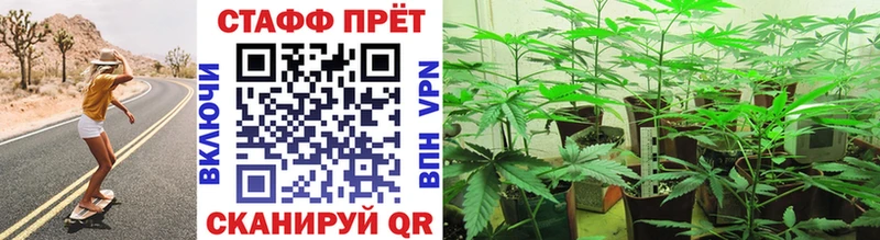 Купить Сафоново Галлюциногенные грибы ГАШ Канабис
