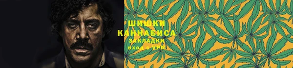 амф Бронницы